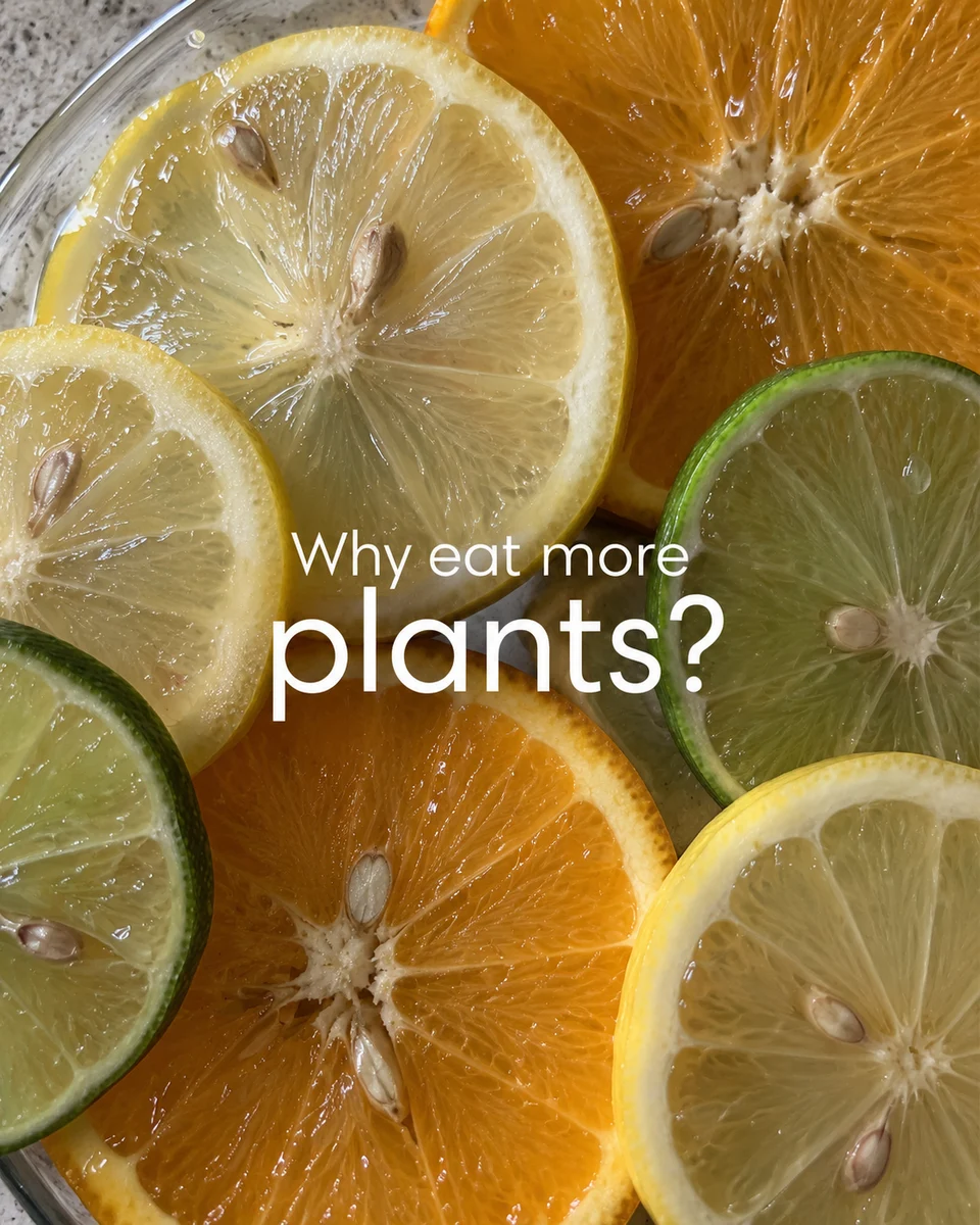 Food post: Why eat more plants?